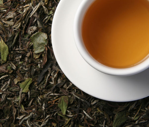 ترکیبات مفید چای سبز