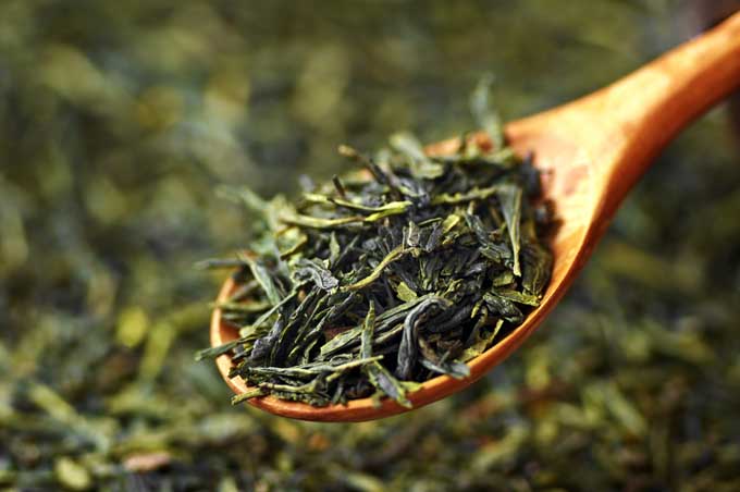 نقش چای سبز در پیشگیری از ابتلا به سرطان